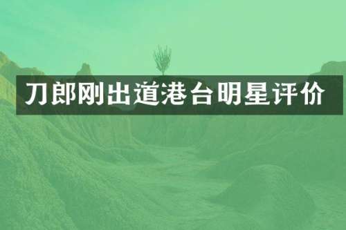 刀郎刚出道港台明星评价