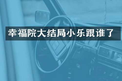 幸福院大结局小乐跟谁了