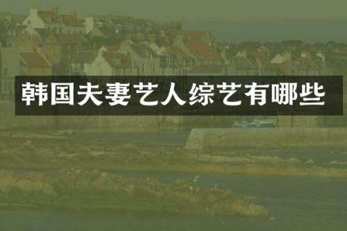 韩国夫妻艺人综艺有哪些