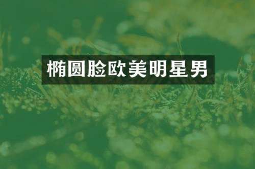 椭圆脸欧美明星男