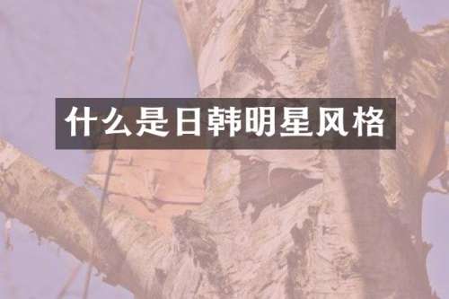 什么是日韩明星风格