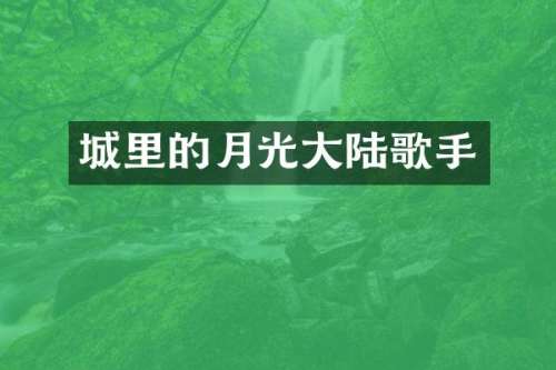 城里的月光大陆歌手
