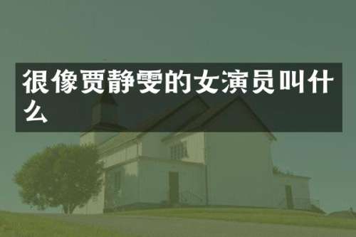 很像贾静雯的女演员叫什么