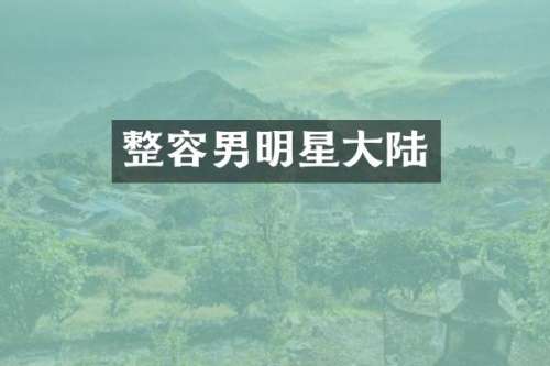 整容男明星大陆