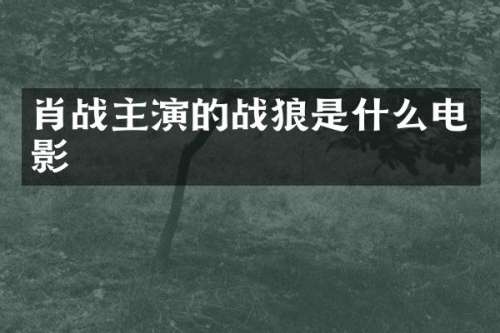 肖战主演的战狼是什么电影