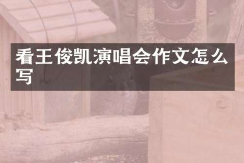 看王俊凯演唱会作文怎么写