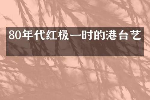 80年代红极一时的港台艺人