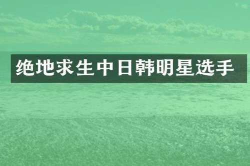 绝地求生中日韩明星选手