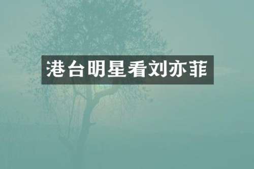 港台明星看刘亦菲