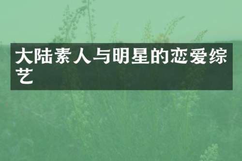大陆素人与明星的恋爱综艺