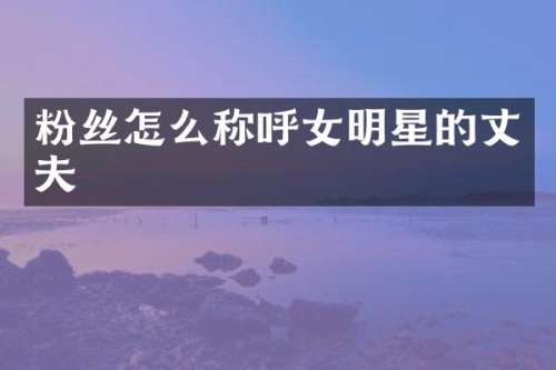 粉丝怎么称呼女明星的丈夫