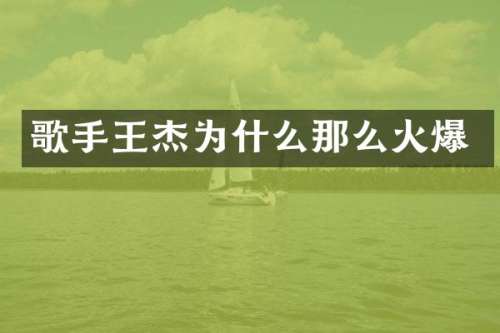 歌手王杰为什么那么火爆