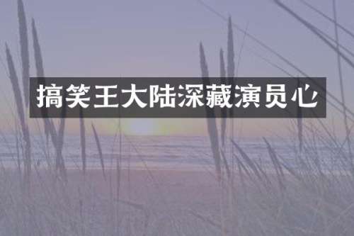 搞笑王大陆深藏演员心