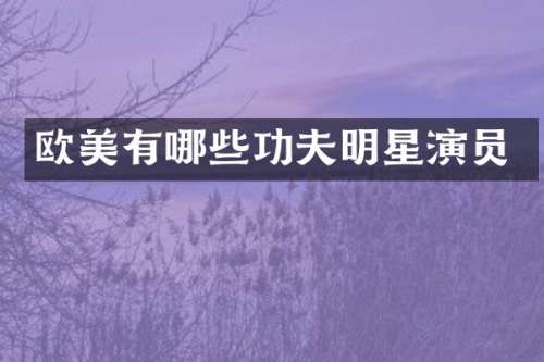 欧美有哪些功夫明星演员