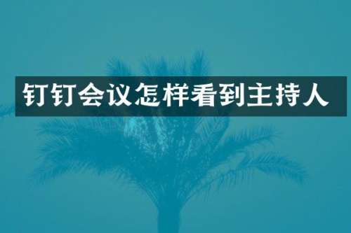 钉钉会议怎样看到主持人