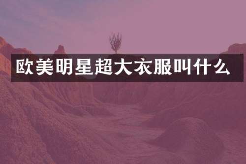 欧美明星超大衣服叫什么
