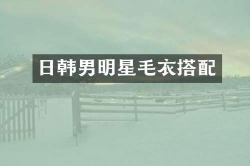 日韩男明星毛衣搭配