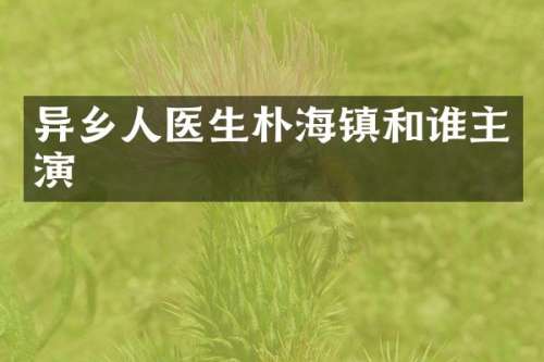 异乡人医生朴海镇和谁主演