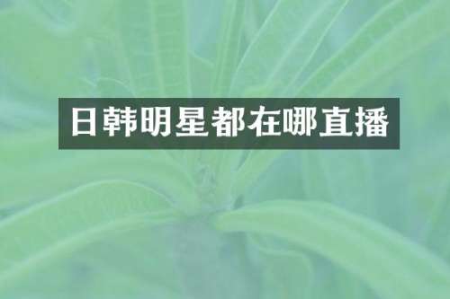 日韩明星都在哪直播