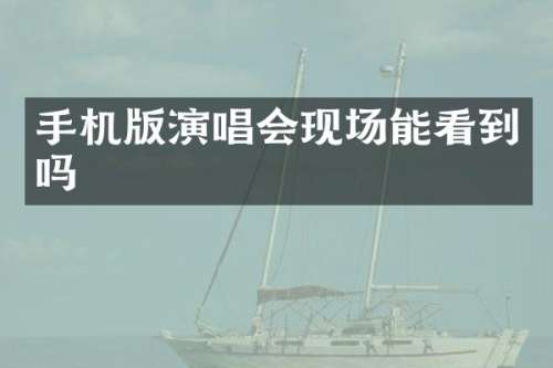 手机版演唱会现场能看到吗