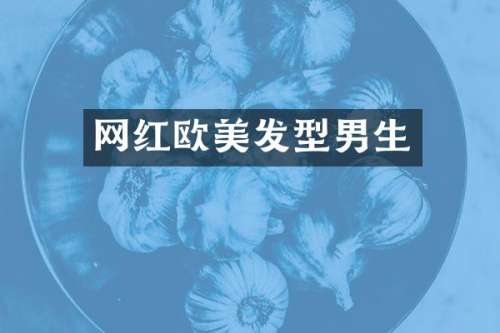 网红欧美发型男生