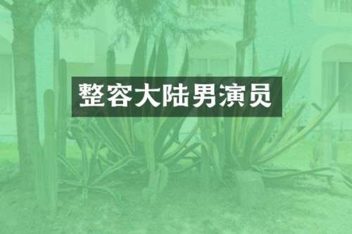整容大陆男演员