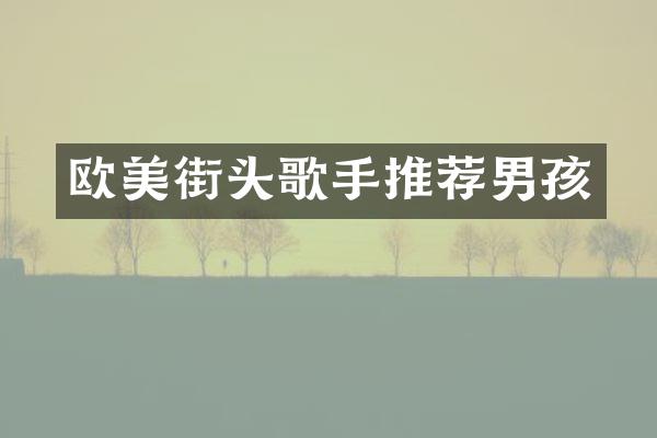 欧美街头歌手推荐男孩