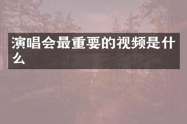 演唱会最重要的视频是什么