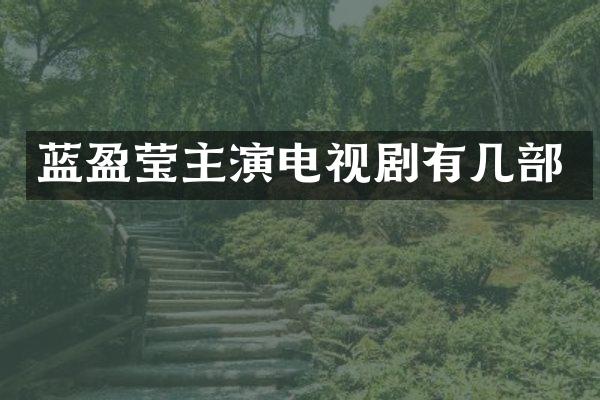 蓝盈莹主演电视剧有几部