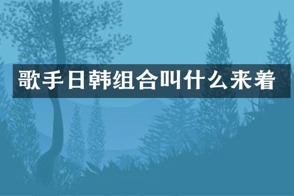 歌手日韩组合叫什么来着