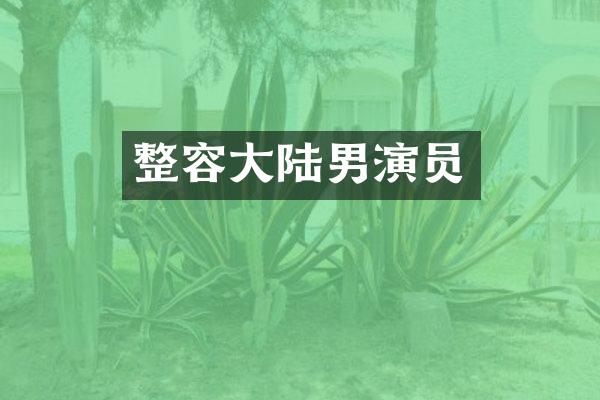 整容大陆男演员