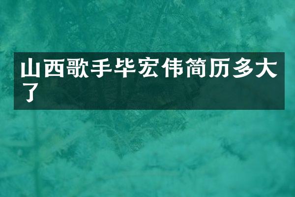 山西歌手毕宏伟简历多大了