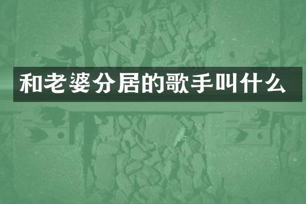 和老婆分居的歌手叫什么