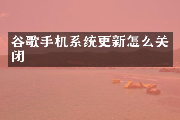 谷歌手机系统更新怎么关闭
