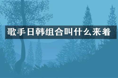 歌手日韩组合叫什么来着