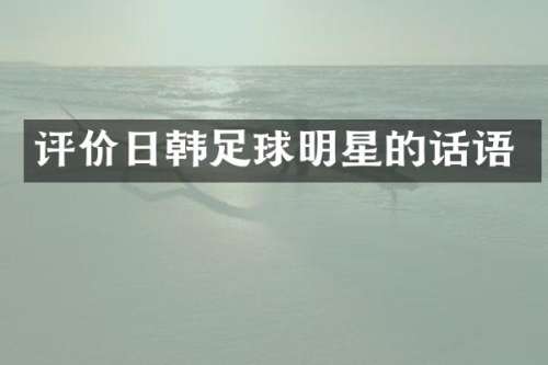 评价日韩足球明星的话语