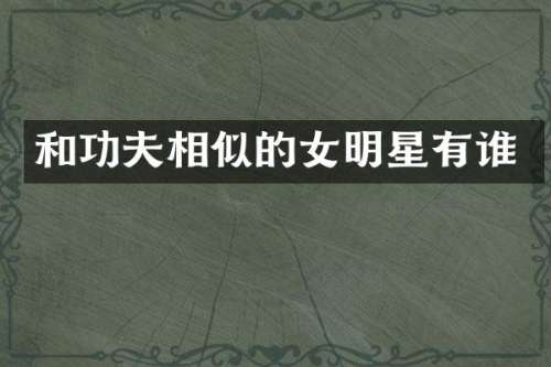 和功夫相似的女明星有谁