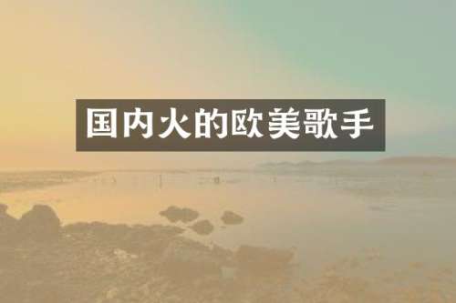 国内火的欧美歌手