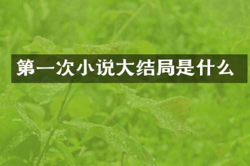 第一次小说大结局是什么