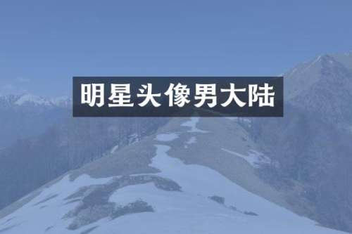明星头像男大陆
