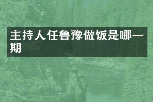 主持人任鲁豫做饭是哪一期