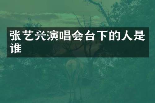张艺兴演唱会台下的人是谁