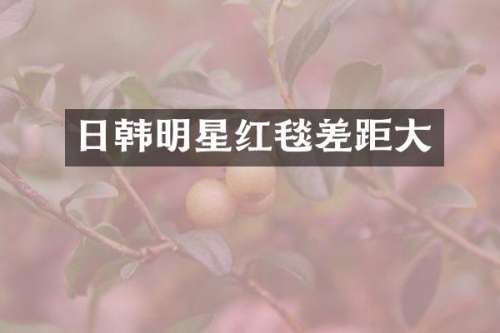 日韩明星红毯差距大