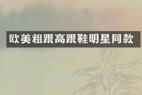 欧美粗跟高跟鞋明星同款