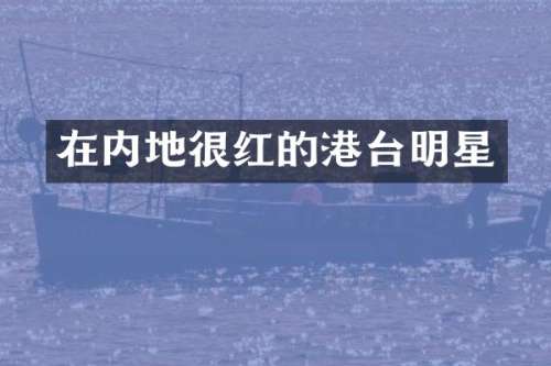 在内地很红的港台明星