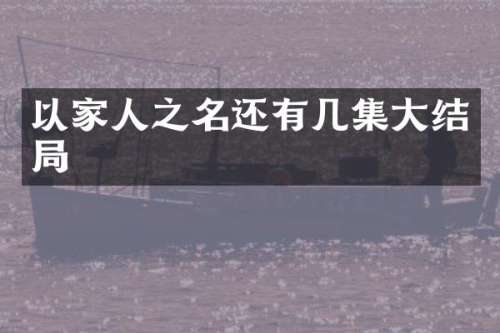 以家人之名还有几集大结局