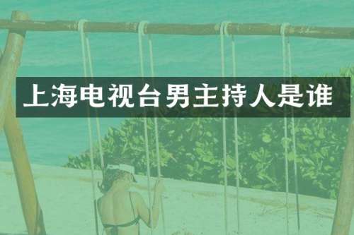 上海电视台男主持人是谁