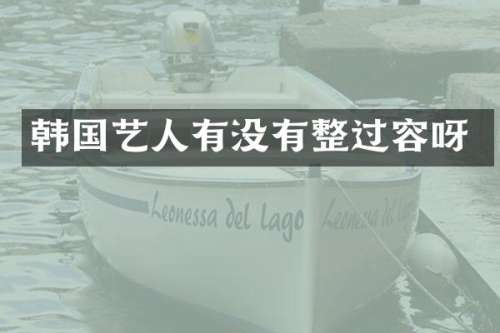 韩国艺人有没有整过容呀