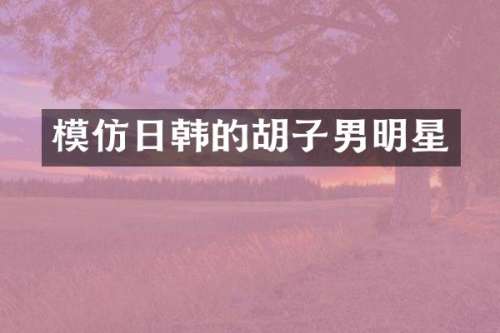 模仿日韩的胡子男明星
