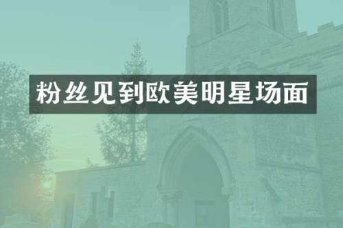 粉丝见到欧美明星场面